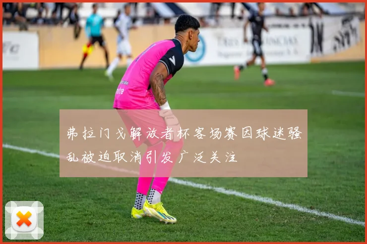 弗拉门戈解放者杯客场赛因球迷骚乱被迫取消引发广泛关注